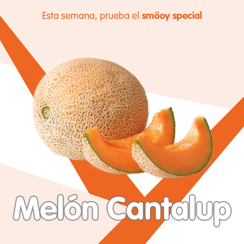 Sabor special melón cantalup