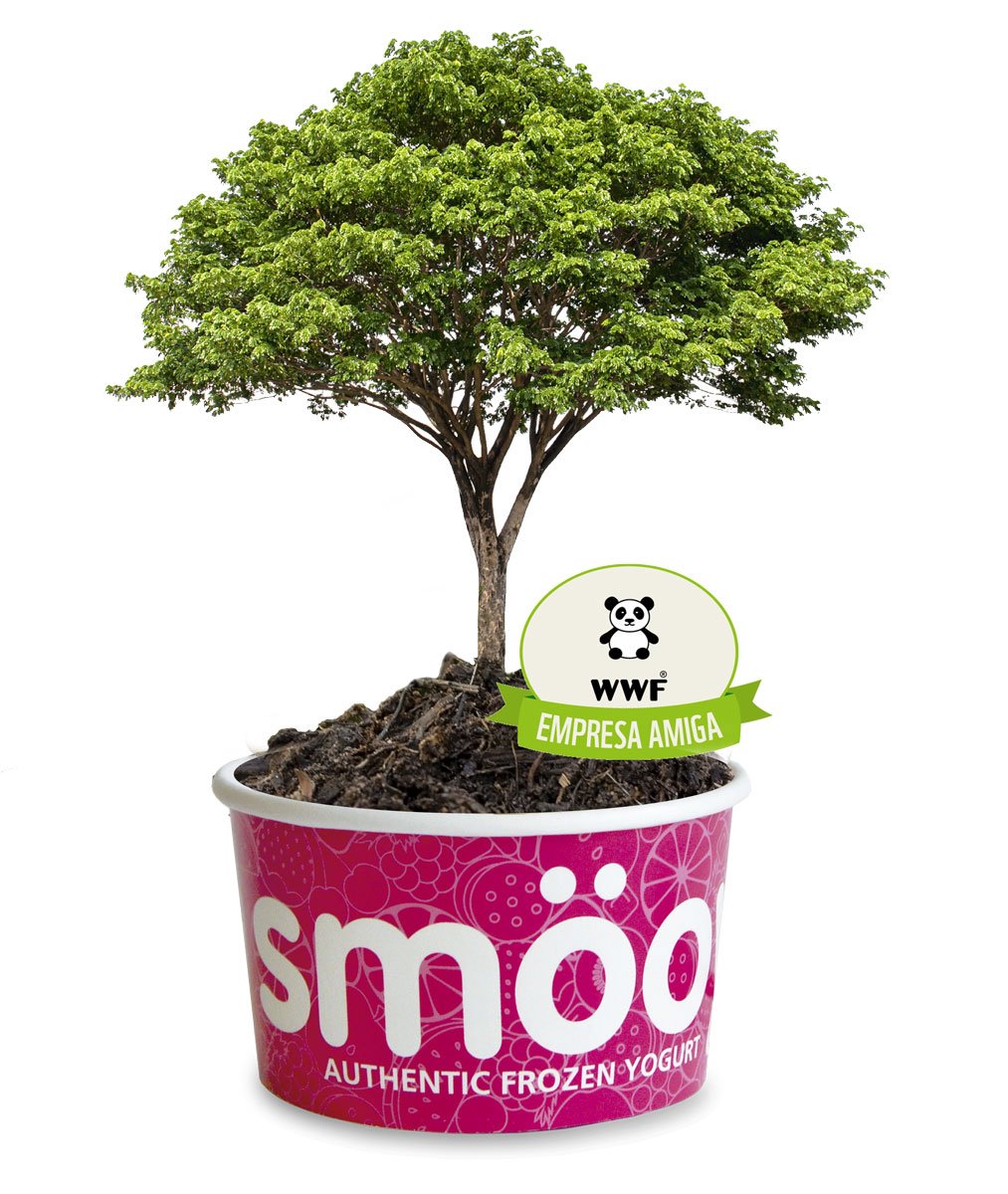 Simulación de un árbol creciendo dentro de una tarrina smöoy